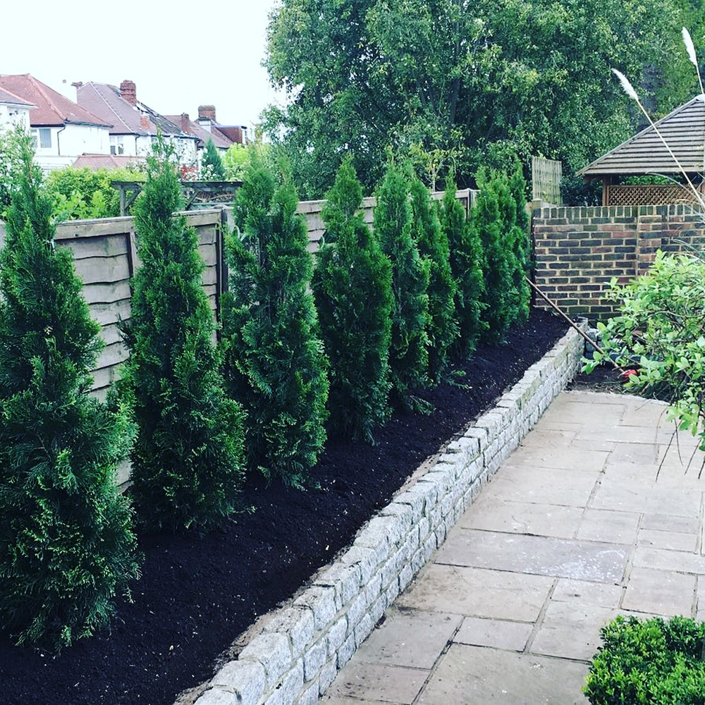 Landscaping project 3 in Surrey